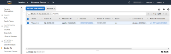 Create and associate an Elastic IP