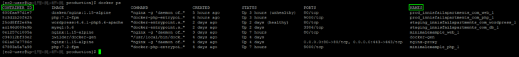 Docker ps command to see container names and ids