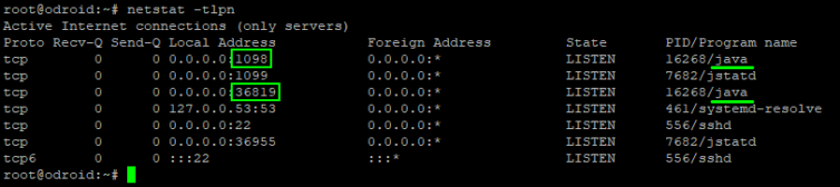JVM JMX opens port 1098 and a random port