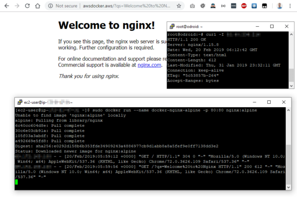 Confirm the EC2 instance is publicly reachable