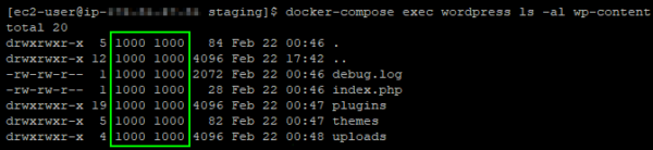 Container file ownership is the EC2 filesystem