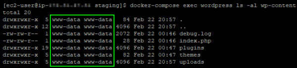 Container file ownership is the shared www-data user and group