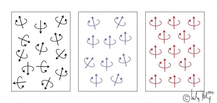 Electron spin and domain alignment makes or breaks magnetic strength