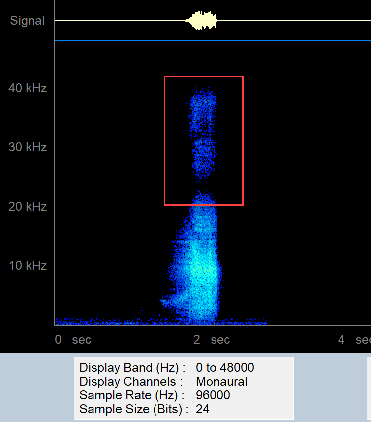 My normal recall sound for my dog