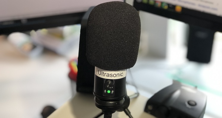 Ultrasonic recording with a condenser microphone
