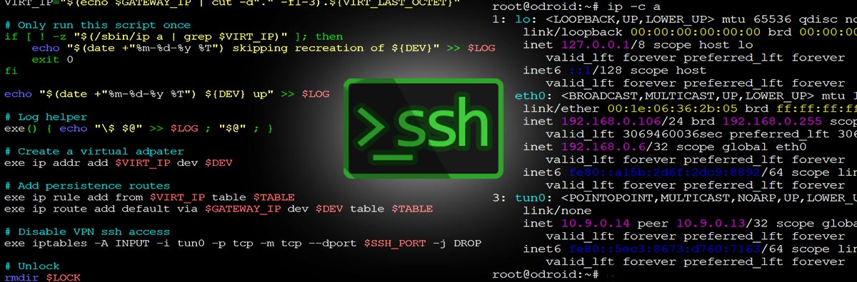 SSH into VPN client server from WAN
